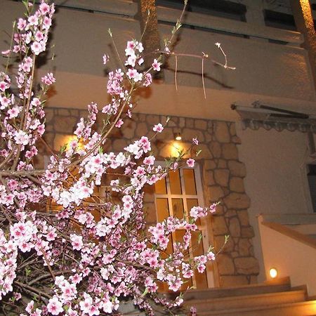 Villa Kokkinos โปตอส ภายนอก รูปภาพ
